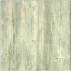 Werzalit Tischplatte 100 cm rund